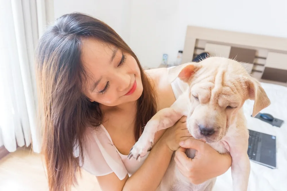 Groomer de Pawayo con perro feliz en domicilio Medellín